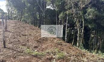 Imagem 2: Sítio com 20.000 m², escriturado, 8 km do asfalto, analisa permuta, apenas R$ 395.000,00