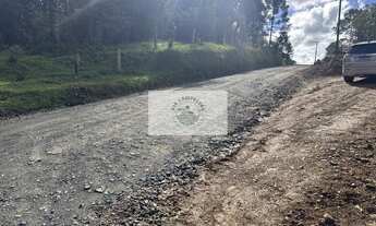 Imagem 3: Sítio com 20.000 m², escriturado, 8 km do asfalto, analisa permuta, apenas R$ 395.000,00