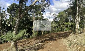 Imagem 6: Sítio com 20.000 m², escriturado, 8 km do asfalto, analisa permuta, apenas R$ 395.000,00