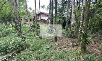 Imagem 6: Sítio em Pirabeiraba, com 6.000 m2, com riacho, boa parte limpa