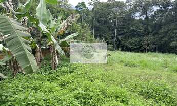 Imagem 3: Sítio em Pirabeiraba, com 6.000 m2, com riacho, boa parte limpa