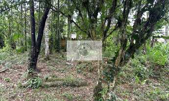 Imagem 5: Sítio em Pirabeiraba, com 6.000 m2, com riacho, boa parte limpa