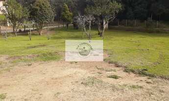 Imagem 3: Casa com 4 dormitórios, terreno de 3.389 m², escriturado, apenas 500 metros do asfalto