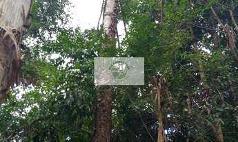 Imagem 6: Chácara a venda em Campo Alegre, frente para a SC-110, com 28.300 m², escriturada