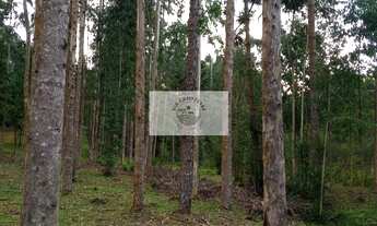 Imagem 5: Chácara a venda em Campo Alegre, frente para a SC-110, com 28.300 m², escriturada