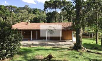 Imagem: Chácara em Campo Alegre com ampla residência