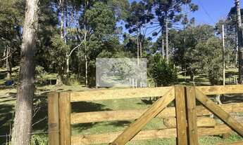 Imagem 7: Sítio com 32.000 m2, escriturado, com uma residência e chalé, possui lago, próximo a divis