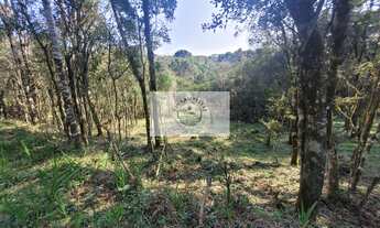 Imagem 6: Sítio com 32.194 m², escriturado, próximo a cachoeira do salto