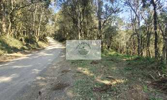 Imagem 7: Sítio com 32.194 m², escriturado, próximo a cachoeira do salto