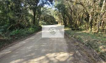 Imagem: Sítio com 32.194 m², escriturado, próximo