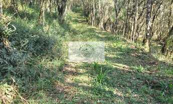 Imagem 2: Sítio com 32.194 m², escriturado, próximo a cachoeira do salto