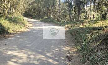 Imagem 4: Sítio com 32.194 m², escriturado, próximo a cachoeira do salto