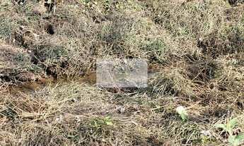 Imagem 3: Sítio com 32.194 m², escriturado, próximo a cachoeira do salto