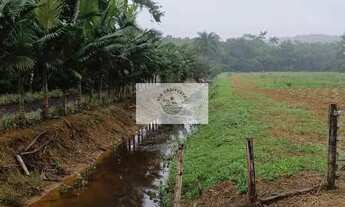 Imagem 5: Sítio com 3.650 m² na região de Pirabeiraba, pronto para construir, com riacho