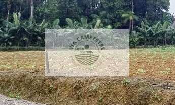 Imagem: Sítio com 3.650 m² na região de Pirabeiraba