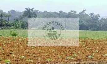 Imagem 4: Sítio com 3.650 m² na região de Pirabeiraba, pronto para construir, com riacho