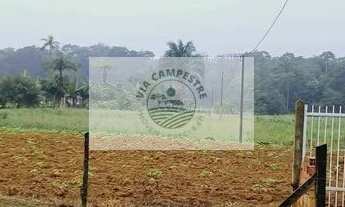 Imagem 2: Sítio com 3.650 m² na região de Pirabeiraba, pronto para construir, com riacho