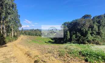 Imagem 2: Sítio com 81.949 m², escriturado, aceita permuta, apenas 1.500 metros do asfalto