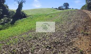 Imagem: Sítio com 81.949 m², escriturado, aceita