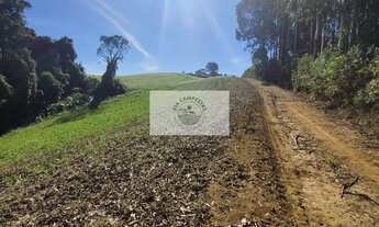 Imagem 6: Sítio com 81.949 m², escriturado, aceita permuta, apenas 1.500 metros do asfalto