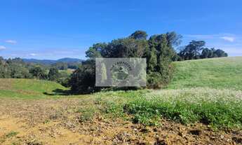 Imagem 3: Sítio com 81.949 m², escriturado, aceita permuta, apenas 1.500 metros do asfalto