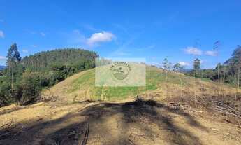 Imagem 7: Sítio com 81.949 m², escriturado, aceita permuta, apenas 1.500 metros do asfalto