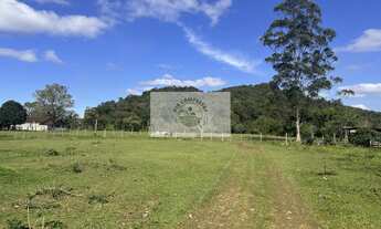 Imagem 7: Terreno todo plano, com 15.000 m², fundos para o Rio Cubatão, apenas 150 metros do asfalto