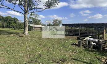 Imagem 2: Terreno todo plano, com 15.000 m², fundos para o Rio Cubatão, apenas 150 metros do asfalto