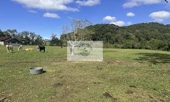 Imagem 4: Terreno todo plano, com 15.000 m², fundos para o Rio Cubatão, apenas 150 metros do asfalto