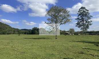 Imagem 6: Terreno todo plano, com 15.000 m², fundos para o Rio Cubatão, apenas 150 metros do asfalto