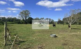 Imagem: Terreno todo plano, com 15.000 m², fundos