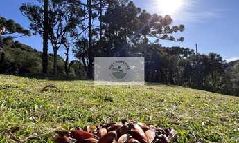 Imagem: Sítio em Bateias de Baixo, com 19.991 m²