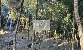 Imagem 2: Sítio em Bateias de Baixo, com 19.991 m², com riacho e lugar alto para construção