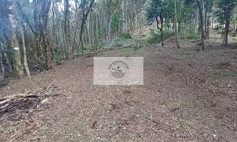 Imagem 4: Sítio em Bateias de Baixo, com 19.991 m², com riacho e lugar alto para construção