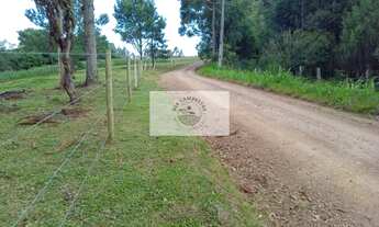 Imagem 5: Sítio em Bateias de Baixo, com 19.991 m², com riacho e lugar alto para construção