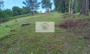 Imagem 7: Sítio em Bateias de Baixo, com 19.991 m², com riacho e lugar alto para construção