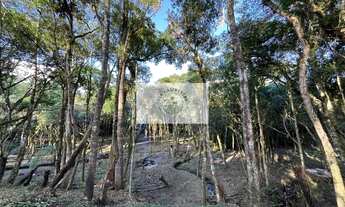 Imagem 3: Sítio em Bateias de Baixo, com 19.991 m², com riacho e lugar alto para construção