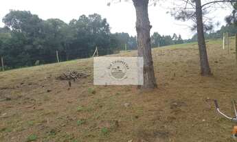 Imagem 6: Sítio em Bateias de Baixo, com 19.991 m², com riacho e lugar alto para construção