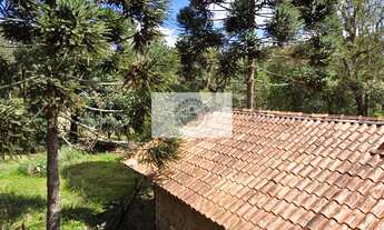 Imagem 6: Casa de campo com 3 quartos, terreno com 5.000 m², com escritura publica, em Avenquinha