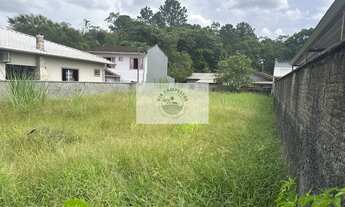 Imagem: Terreno murado e aterrado, escriturado