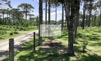 Imagem 3: Terreno para sítio com 1.800 m², lugar alto, de esquina, frente para o asfalto