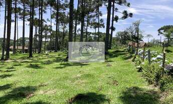 Imagem 5: Terreno para sítio com 1.800 m², lugar alto, de esquina, frente para o asfalto