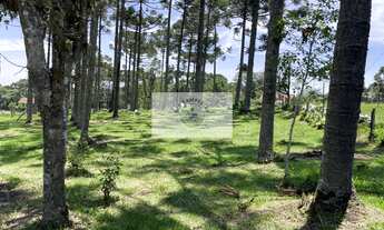 Imagem 4: Terreno para sítio com 1.800 m², lugar alto, de esquina, frente para o asfalto