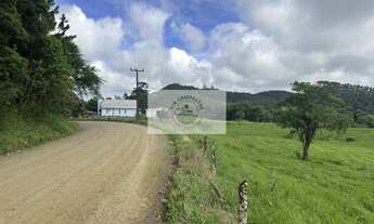 Imagem 5: Sítio com 675.970 m², escriturado, com arrozeira, pastagem, bananal e casa, analisa negoci