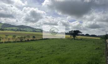 Imagem 4: Sítio com 675.970 m², escriturado, com arrozeira, pastagem, bananal e casa, analisa negoci