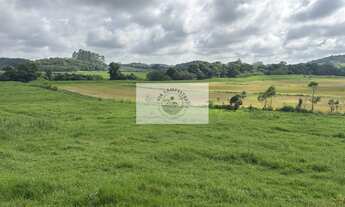 Imagem 2: Sítio com 675.970 m², escriturado, com arrozeira, pastagem, bananal e casa, analisa negoci