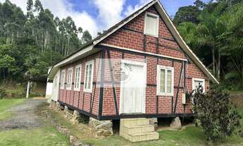 Imagem 7: Sítio com 675.970 m², escriturado, com arrozeira, pastagem, bananal e casa, analisa negoci