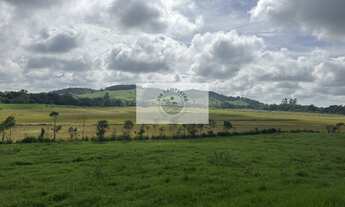 Imagem 3: Sítio com 675.970 m², escriturado, com arrozeira, pastagem, bananal e casa, analisa negoci