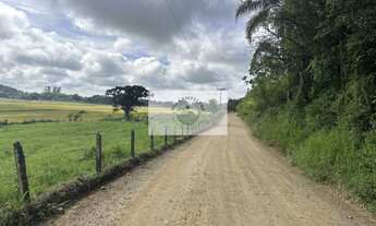 Imagem 6: Sítio com 675.970 m², escriturado, com arrozeira, pastagem, bananal e casa, analisa negoci