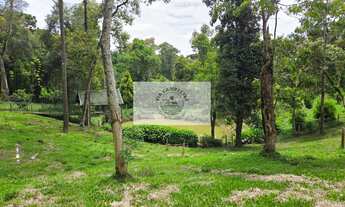 Imagem 6: Terreno urbano com 3.215 m², aceita financiamento, terreno plano com araucarias